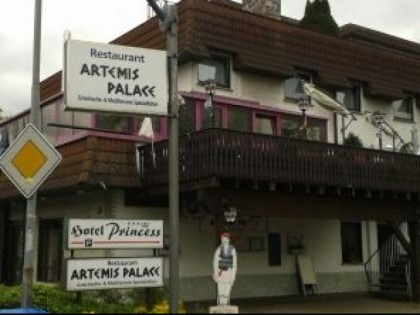 Фото: Artemis - Palace 